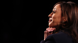 Yes, Kamala Saw That Fly Too